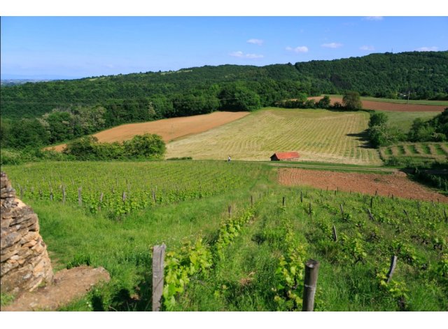 Investir loi Pinel  Saint-Romain-au-Mont-d'Or