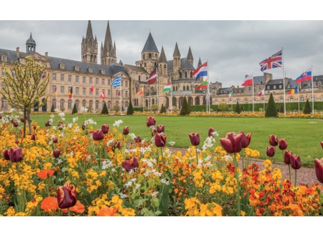 Renaissance défiscalisation immobilière