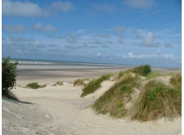Programme immobilier neuf Les Cottages Dunes & Mer  Bray-Dunes