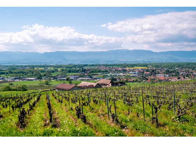 Investissement loi Pinel neuf Loisin