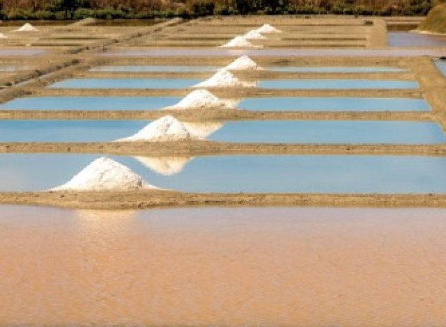 Les Salines