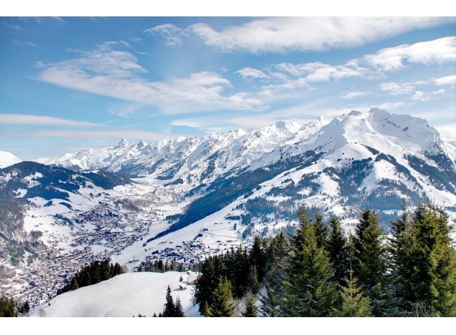 Immobilier loi PinelAnnecy