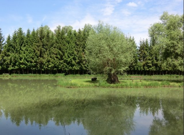 Programme immobilier neuf Appart Saint-Louis