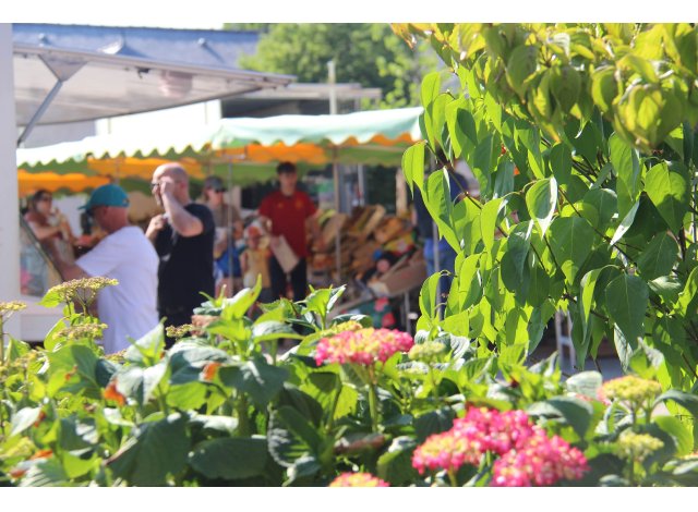 Eco construction Montgermont