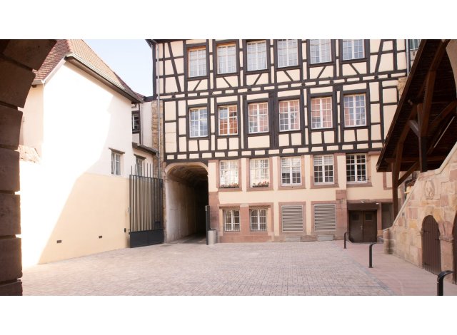 Programme investissement loi PinelColmar