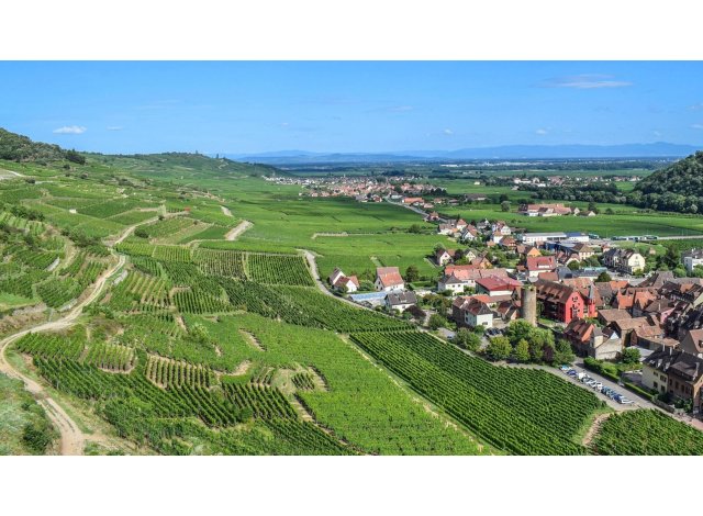 Wintzenheim cg 1 logement neuf