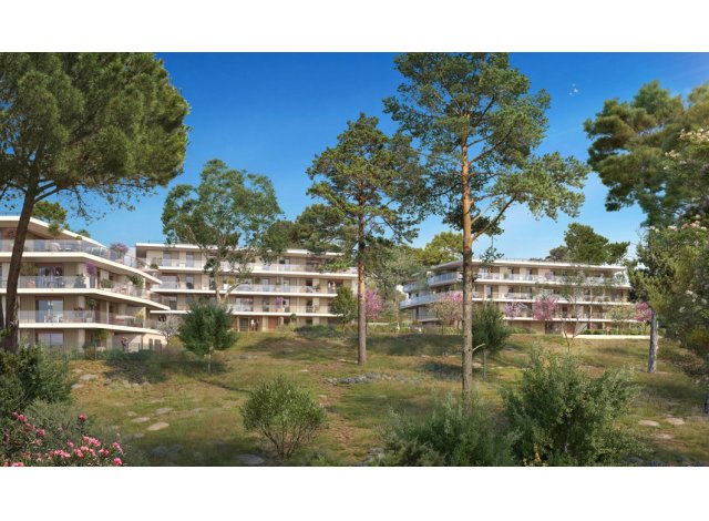 Programme immobilier neuf �co-habitat Skyline � Valbonne