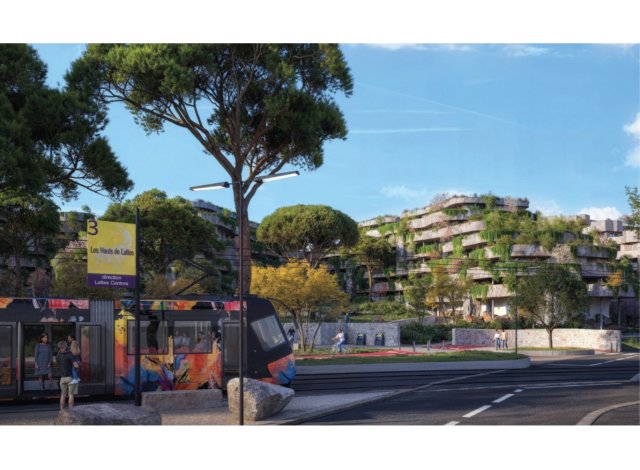 Programme immobilier neuf appart Lattes