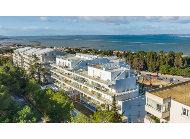Logement neuf Sète : Singulière
