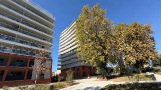 Pinel programme Terre Garonne Toulouse