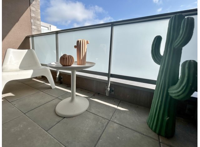 Projet éco construction Valenciennes