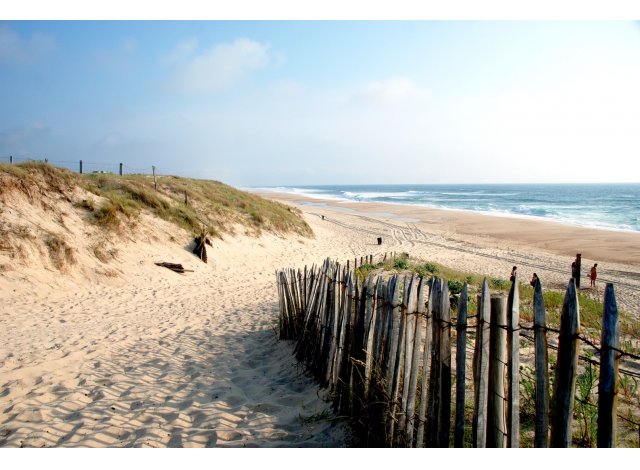 Programme �cologique Messanges