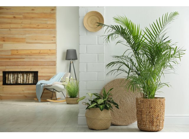 Programme immobilier neuf maison Soustons