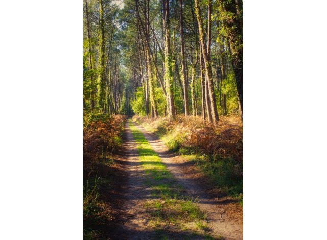 Programme immobilier neuf appart Soustons