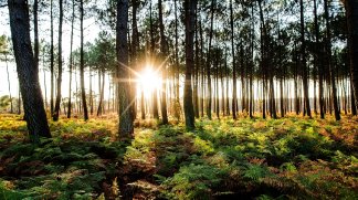 Programme neuf Bleu du Sud &agrave; Soustons