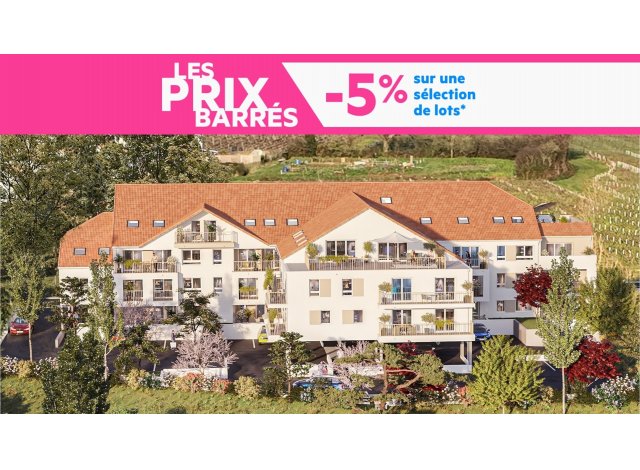 Investissement locatif en Pays de la Loire : programme immobilier neuf pour investir Le Domaine des Vignes à Port-Saint-Père