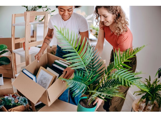 Les Lisieres de la Loubere Immobilier neuf Montussan