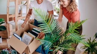 Eco habitat programme Les Lisieres de la Loubere Montussan