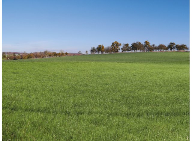 Programme immobilier neuf null Waldwisse