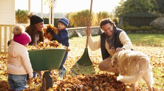 Terrain constructible à Lorry-lès-Metz