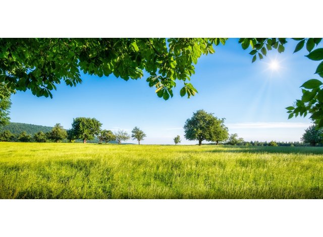 Terrain constructible � Beuvrequen