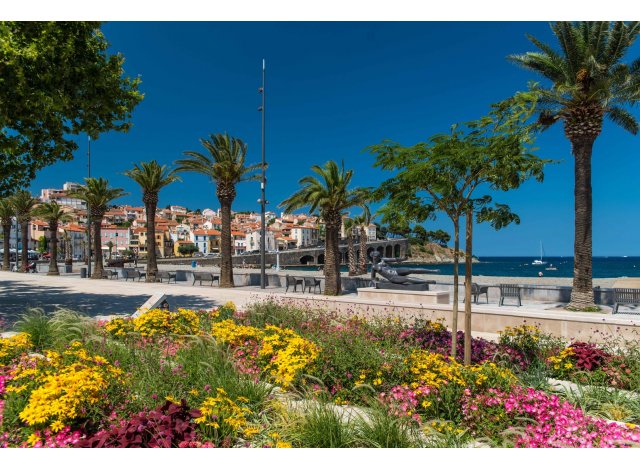 Programme immobilier neuf null Banyuls-sur-Mer