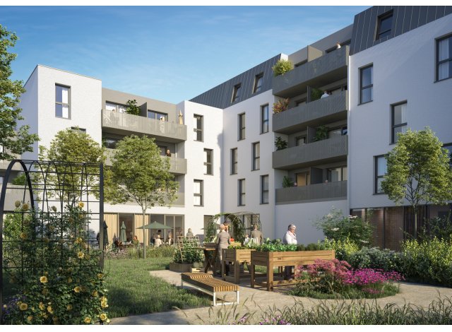 Eco habitat programme L'Angora Roubaix