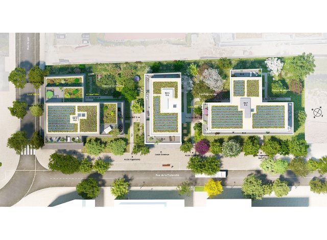 Constellation Ambilly