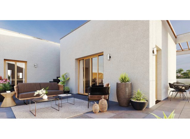 Rooftop Elegance �co habitat