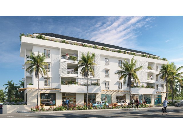 Immobilier basse consommation � Saint-Pierre