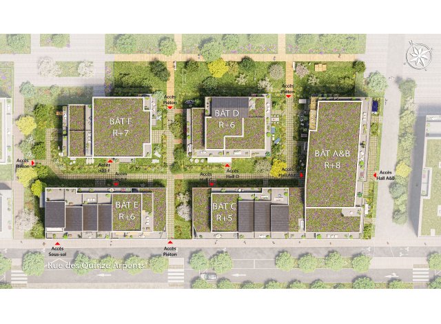 Mésange logement cologique