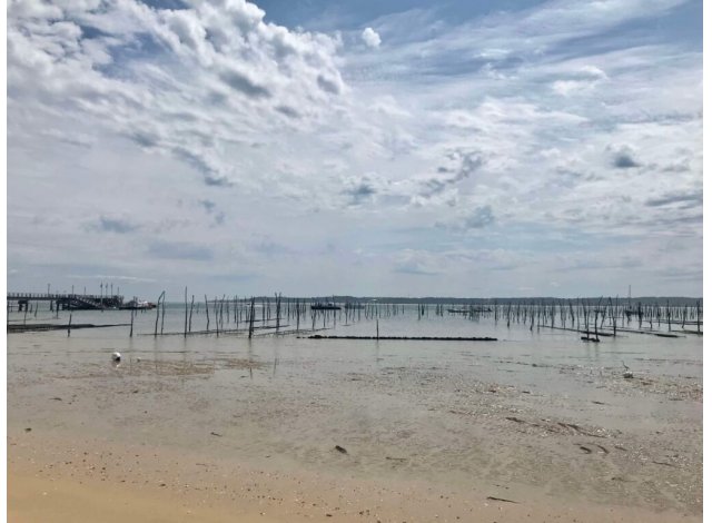 Programme investissement loi PinelArcachon