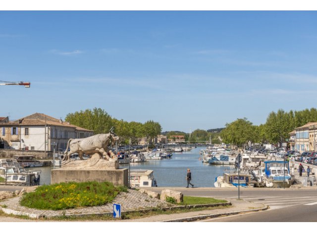 Le Patio des Berges programme neuf Beaucaire