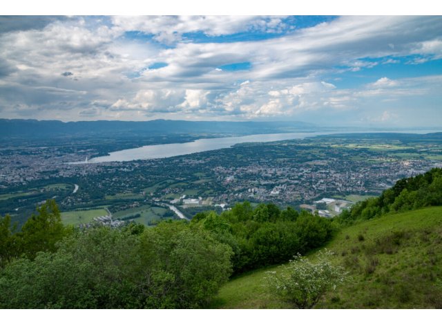 Côté Géline loi Pinel