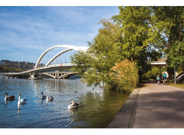 Acheter pour louer Lyon 3�me
