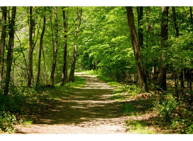 Investissement locatif Villenave-d'Ornon