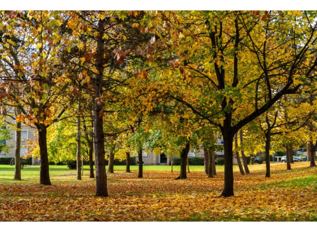 Immobilier loi PinelDugny