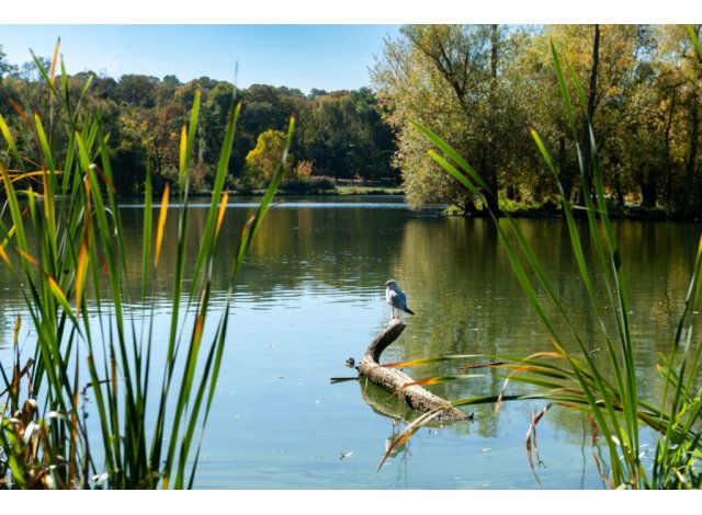 Investissement immobilier Morsang-sur-Orge
