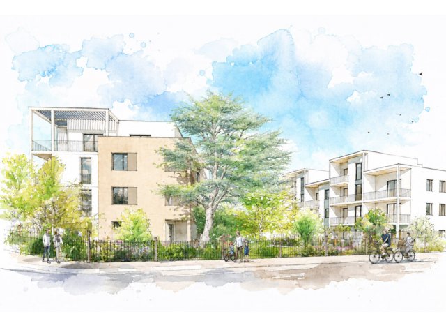 Programme immobilier neuf Le C&egrave;dre Bleu � Grigny