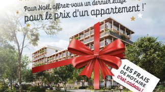 Programme neuf Bois de Nagoya &agrave; Toulouse