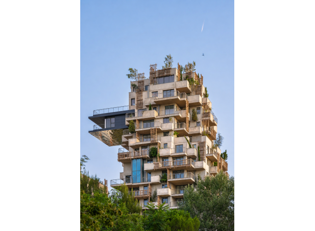 Programme immobilier Montpellier