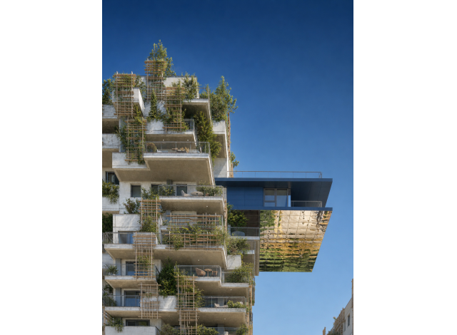 Evanesens Montpellier