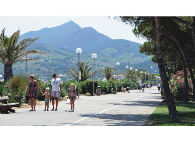 Appart Argelès-sur-Mer