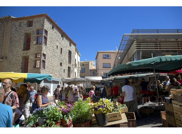 Appartement �cologique Le Cap d'Agde