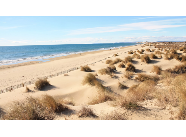 Appart Le Grau-du-Roi