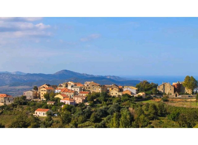 Appart Olmeta-di-Tuda