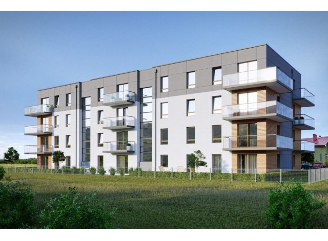 Investissement immobilier Vaulx-en-Velin