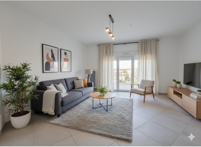 Australis Montpellier