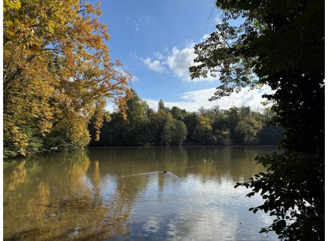 Investir dans le neuf Strasbourg