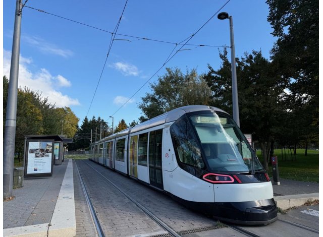 Investissement loi Pinel Strasbourg